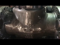 Válvula de control de oscilación para uso de vapor de agua y aceite