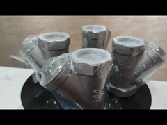 800PSI de acero inoxidable 304 316 CF8 CF8M BSP NPT de hilo femenino de tipo Y