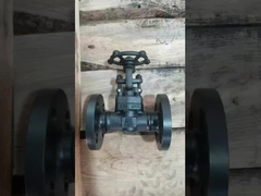 Válvula de puerta forjada de acero fundido de acero inoxidable para aceite de vapor de agua / líquidos corrosivos